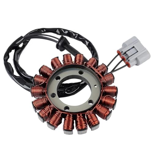 Bobine de stator de g&eacute;n&eacute;rateur de moto pour BMW S1000XR K69 id&eacute;al longs trajets