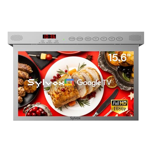 SYLVOX 15,6 Zoll Küchenfernseher, Faltbarer Fernseher für Küche mit Drehung, Google TV Unterstützung WiFi Bluetooth, 1080P Smart TV für Küche, Schlafzimmer, Wohnmobil，RV Yacht (Silber)