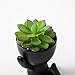 VENY TAYA 2 PCS Unique Artificial Plants Succulents Office Decor for Women and Men, Small Fake Plants with Human-Shaped Pots, Cute Faux Plants Indoor for Office or Home Decoration, Black