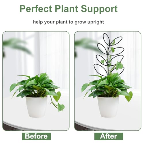 Image of 23in Plant Trellis for Climbing Plants Indoor, 4 Shapes