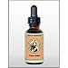 Gentle Warriors by Kan, Chest Relief 1 oz