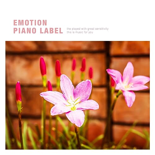 Play Beautiful Love Piano For Lovers By Various Artists On Amazon Music