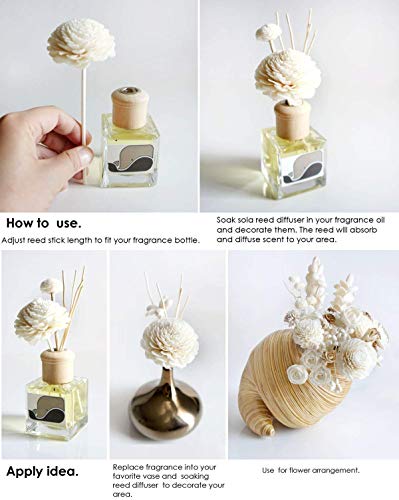 10 Lily 2" Sola Flower Reed Diffuser for Home Fragrance by Plawanature.