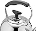 UUNVTOSU Stove Top Tea Kettle, Stainless Steel Teapot for Household and Kitchen Whistling Kettle Suitable for All Hob/Stove Types, Kitchen Essential Brewing Coffee, Tea and Espresso 3L-1l Kettle (Col