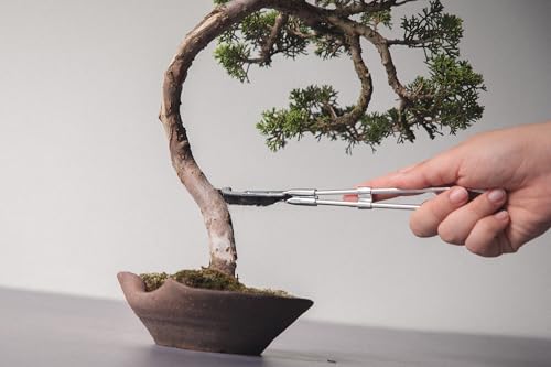 Pincel Curvo para Bonsái Wazakura 23.5 cm Negro miniatura 5