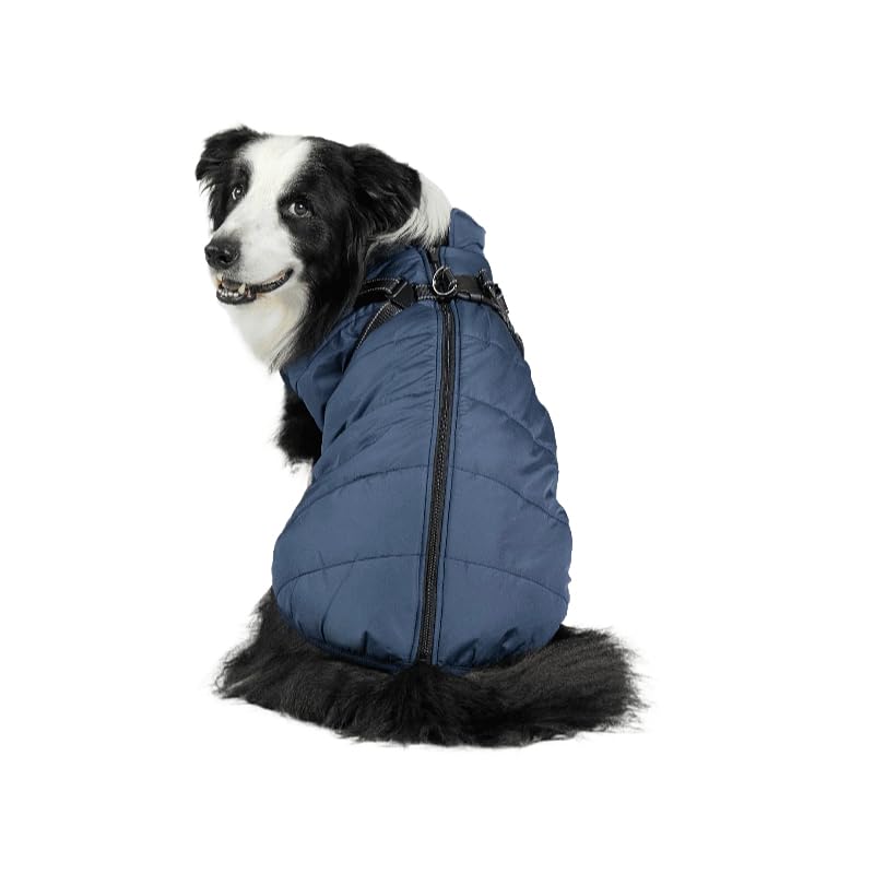 DoggyKings™ 3 in 1 Jacket (This Size Fits Small and Medium-sized Dogs, Such As Staffordshire Bull Terriers; Sizes Run Small and May Not Fit Large Dogs)
