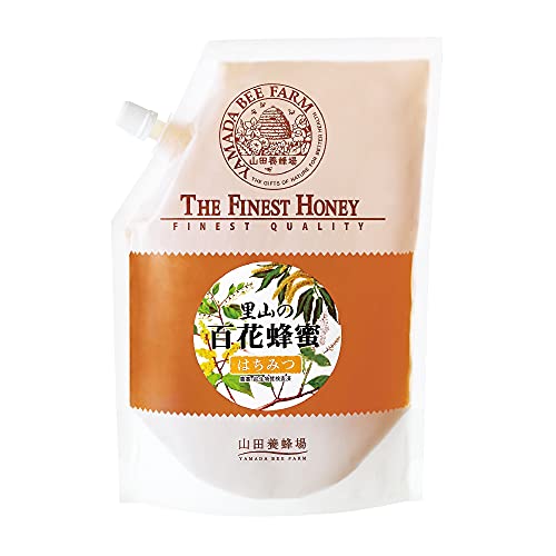 Rc{I R̕SԖI Y 1kgܓ [ Y I ݂͂ n݂͂ VR ]