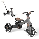 KikkaBoo Tricycle Bébé Évolutif 5 en 1 Flash, Vélo sans Pédales et Draisienne Évolutive, Poignée Parentale Réglable, Roues EVA, Cadre en Acier, 1,5 à 4 Ans, Gris