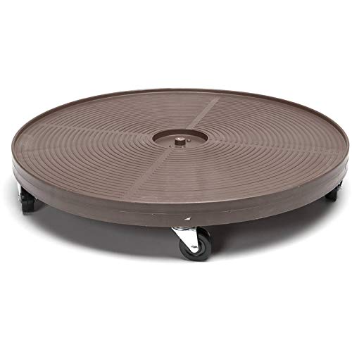 Dolly Espresso 24" #TOP23