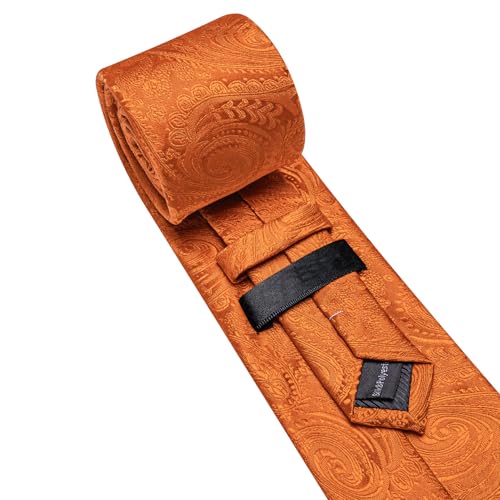 Image of Barry.Wang Paisley Tie for Men Silk Woven Necktie and Tie Clip Set Wedding Party Business Formal