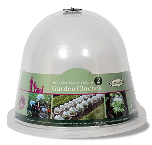 Haxnicks Bell050101 Lot de 2 cloches victoriennes Transparent Kingsize 40 x 31 cm transparent