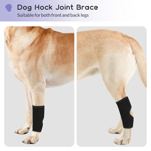 PUMYPOREITY 1 Stück Kniebandage für Hunde, Vorderbein Gelenkstütze Hinterbein Sprunggelenk Schutz Bandage Hunde Vorderbeinstütze Knieschutz Verband für Chirurgische Verletzungen(Schwarz, S)