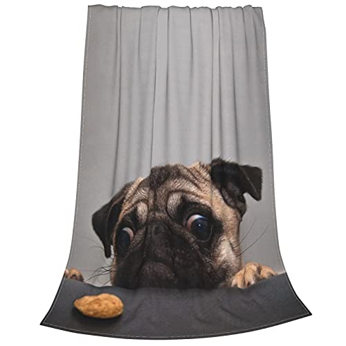 Dog Pug Fleece Throw Blanket Soft Lightweight Warm Cozy Plush Blanket for Men Women Couch Bed Sofa 80X60