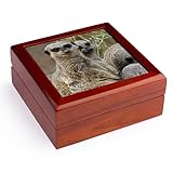 3dRose Meerkats, Louisville Zoo, Louisville, Kentucky - US18 AJE0298 - Adam Jones, Jewelry Box jb-90366-1