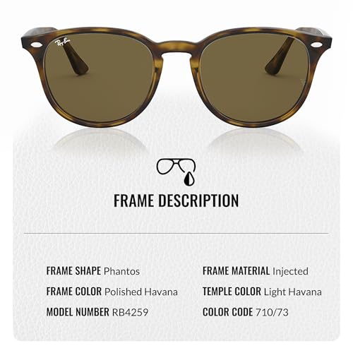 Ray-Ban RB4259 Phantos Shaped Sunglasses for Men & Women with Official RAYBAN Eyewear Kit3