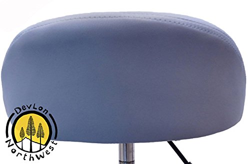 DevLon NorthWest Salon Stool with Back Rest Saddle Hydraulic Spa Stool (LIGHT GRAY)
