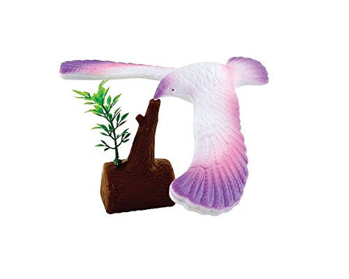 Lowpricenice Balance Bird - Great for Understanding Gravity (Colors May Vary)