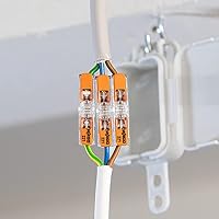 WAGO 2-Leiter Durchgangs-Verbinder mit Hebel 221-2411 | Nennquerschnitt: 4 mm², mit Hebel, 60 Stück, geeignet für alle Leiterarten, von ein-, fein- und mehrdrähtigen Leiter – Ansicht 6