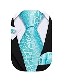 Barry.Wang Stripe Men Ties Set Silk Woven Plaid Necktie Pocket Square Cufflinks Business Wedding