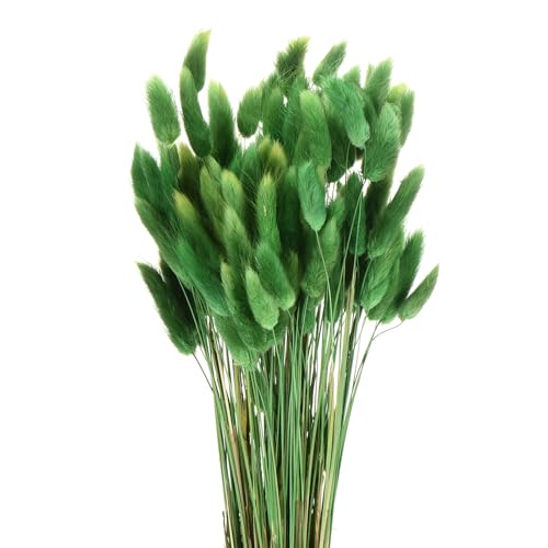 Queue de lapin naturelle fleurs séchées 120pcs vert herbe QUARKZMAN - 2