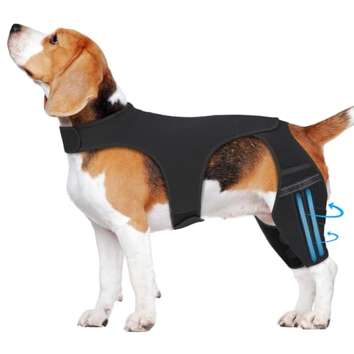 Supet Dog Gu[X 􂩂ꂽAcl ㎈pA4̃X^rCU[ ̋ru[X 둫pA߉\ȃqbvT|[gŒɂ݁Axт̉y & GW̗N ^pAS