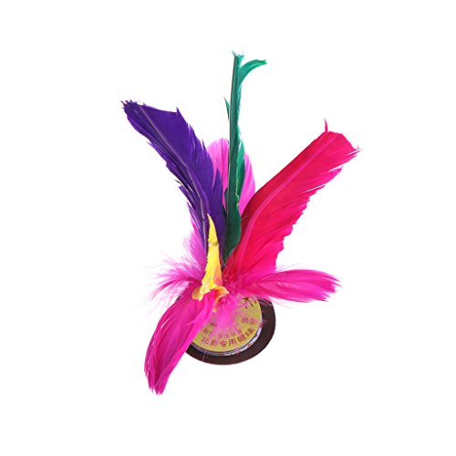 Lunji Kick Shuttlecock Cylinder colorato flyer