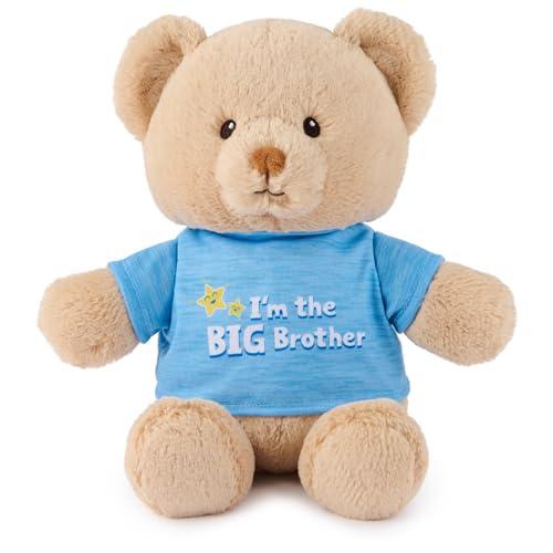 GUND “I'm The Big Brother” Sustainable Message Bear with...