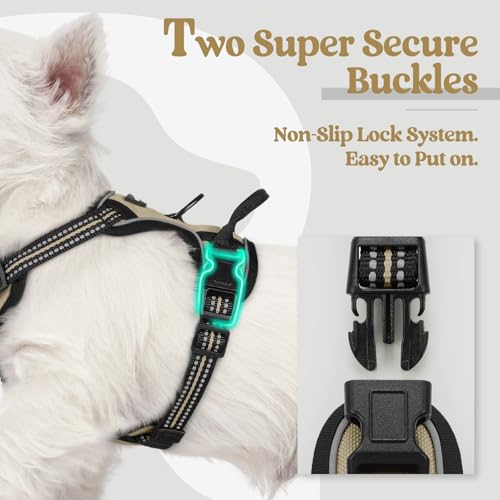 Image of rabbitgoo Dog Harness No Pull with 2 Leash Clips, Adjustable Soft Padded, Reflective Oxford No Choke Pet Vest with Easy Control Handle for Puppy, Beige, XS