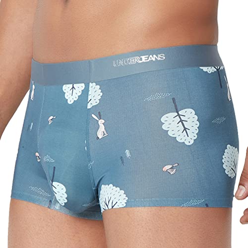 Image of Underjeans Men Trunk