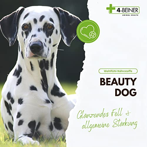 4-BEINER Beauty-Dog: Vitamine für Hunde mit Omega-3, Vitamin B Komplex, Vitamin C, Biotin, Bierhefe Hund, Schwarzkümmelöl, Zink, Jod, Selen für Haut und Fell & zur allgemeinen Stärkung, Pulver