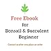 Bonsai Tool Kit, Bonsai Tree Kit Succulent Gardening Tools Set of 8 pcs Includes Pruning Shears, Mini Rake, Fold Scissors and More