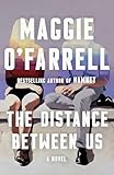 The Distance Between Us: A Novel