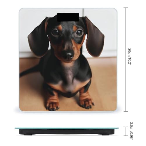 Báscula digital GHEPSDW Cute Wiener Sausage Dog miniatura 2