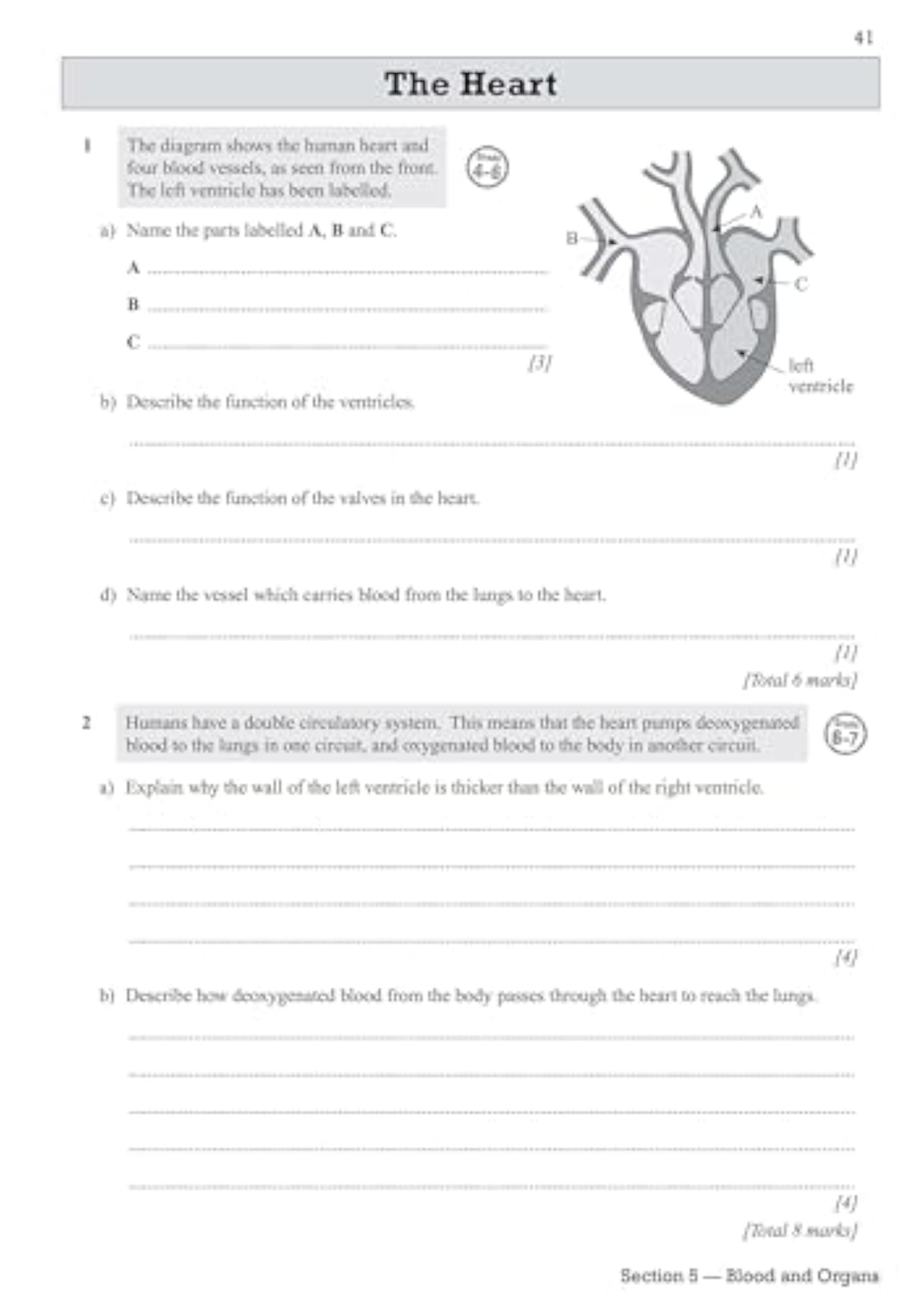 9-1 Edexcel International GCSE Biology Exam Practice Workbook