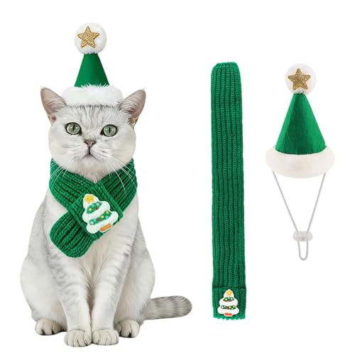 IRRVIN 2Zbg NX}X  L RXv NX}X }t[ Xq ӂӂ RR ybg 蕨 ϐg   ʔ hJp^[ ߉\ ʐ^Be p[eB RXv (O[)