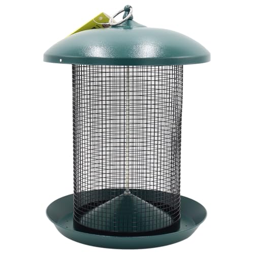 Zenport Z203010 Hanging Bird Seed Screen Feeder