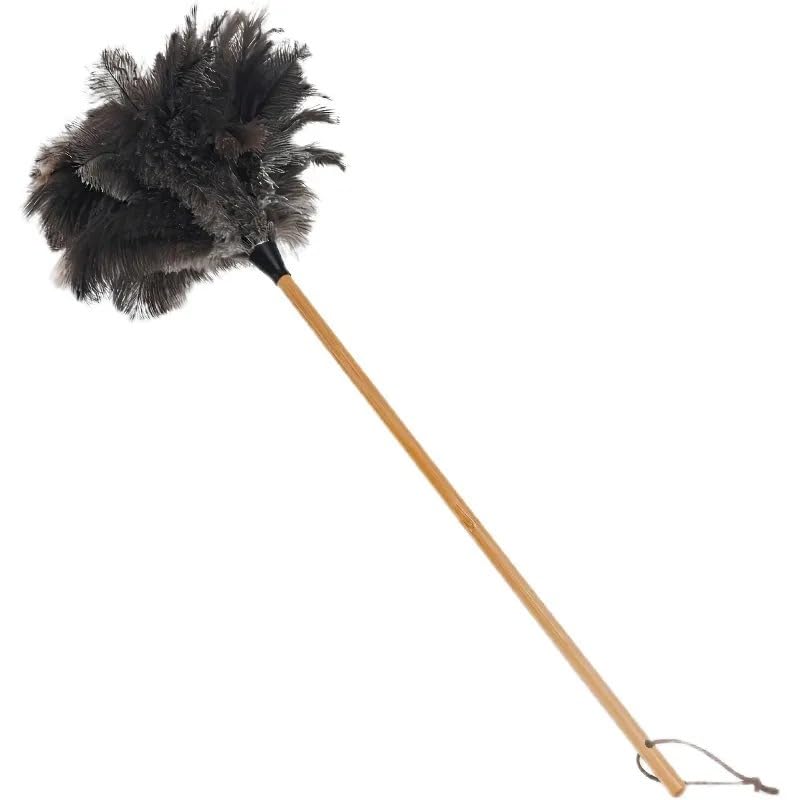 hongwei1952 Natural Ostrich Feather Cat Teaser Wand, 24 Inch Wooden Handle