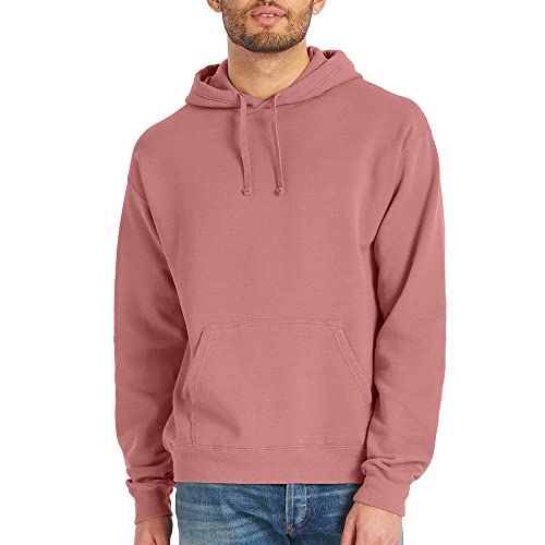 Sweatshirt à capuche homme Hanes Comfortwash en molleton délavé