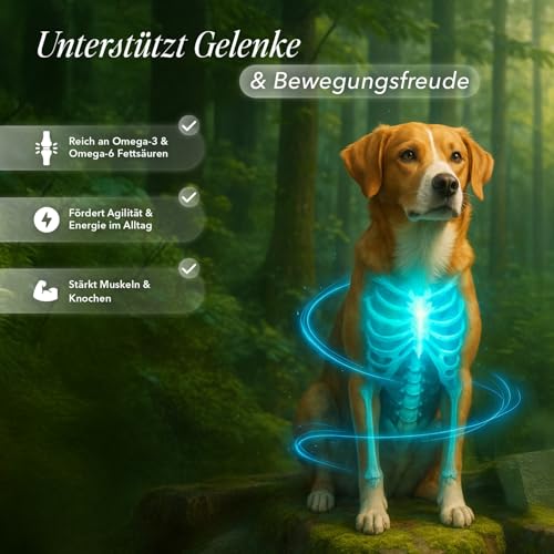 naturacbd Hanföl für Hunde mit Leinöl & Mariendistel | Natürliches Barf-Öl zur Unterstützung von Gelenken, Beweglichkeit, Verdauung & Vitalität | Bio-Öl für Haut & Fellpflege