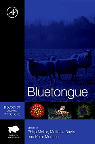 Bluetongue view 2