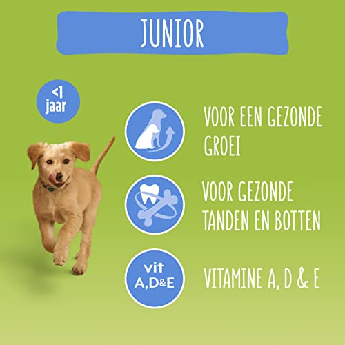 Bonzo Junior mit Huhn, Milch und Gemüse - für Welpen ab 6 Wochen - 15kg