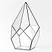 NCYP Geometric Glass Terrarium Planter - 5.5 x 5.5 x 9 Inches - Diamond Shape Flower Pot for Succulent Air Plant - Home, Office Desktop Decoration Terrarium, Black (No Plants Included)
