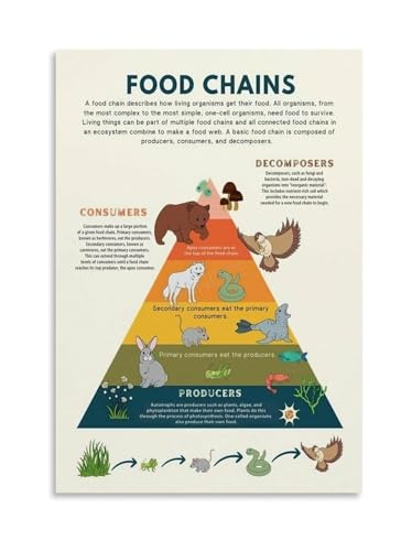 Póster científico ISMCGPLHPT enmarcado con gráficos de redes tróficas, 20x30 cm