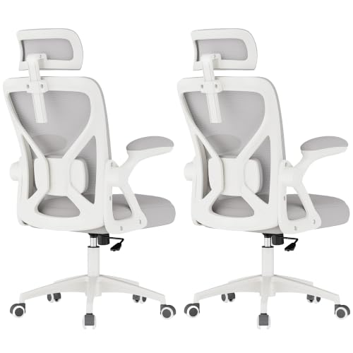 Image of VASAGLE Ergonomic Mesh Office Chairs with Adjustable Lumbar Support and Headrest, 90-105 Tilt Function, Wide Seat, Flip‑Up Armrests, Computer Desk Chairs for Home Office, Set of 2, Dove Gray