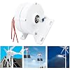 200W Electric Motor Generator, Three Phase Alternator Home Permanent Magnet Electric Motor Generator for Vertical Horizontal Wind 12V
