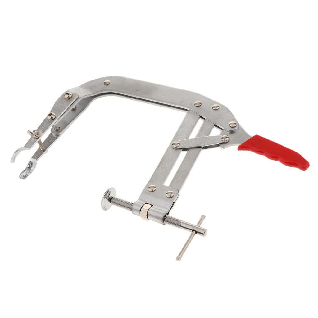 Pince de compression professionnelle de 20,3 cm pour les amateurs de voiture, entretien de véhicule automobile, réparation