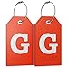 Shacke Initial Luggage Tag with Full Privacy Cover and Stainless Steel Loop – (Letter G)