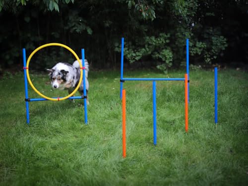 NATIV LEMODO Agility Set Hunde | Hundetraining mit Agility Hürde und Sprungring | Einfach zu transportierendes Hundetraining Zubehör | Einsteiger-Set in den Hundesport