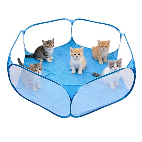 Box per animali domestici di piccola taglia, 120 x 120 x 38 cm recinto per cani da interno Trasparente Recinzione per Gatti, Criceto, Furetti, Cincillà, Conigli, Ricci