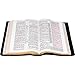 The KJV Store Classic Large Print Study Bible (With C.I. Scofield Notes) - Lambskin Edition